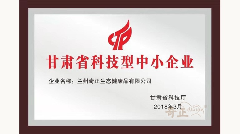 甘肅省科技型中小企業(yè)